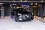 audi-q4-e-tron-2021-eletrico-0cc