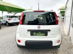 fiat-panda-2021-gasolina-1242cc