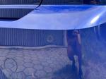 seat-ibiza-2020-gnc-999cc