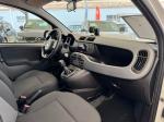 fiat-panda-2020-gasolina-1242cc