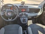 fiat-panda-2022-gasolina-999cc