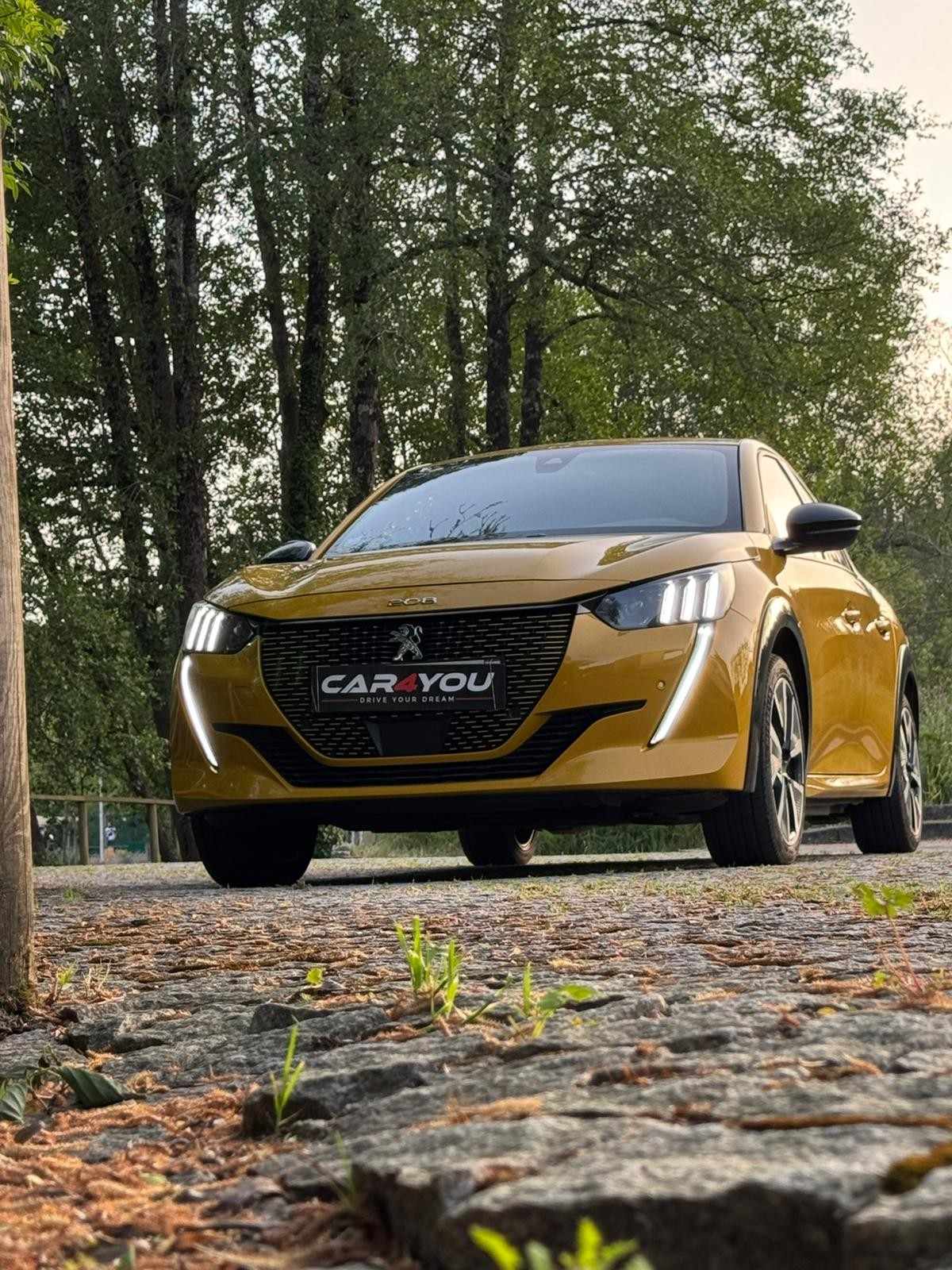 peugeot-208-2020-eletrico-500cc