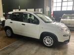 fiat-panda-2022-gasolina-999cc