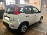 fiat-panda-2022-gasolina-999cc