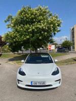 tesla-model-3-standard-range-plus-2021-eletrico