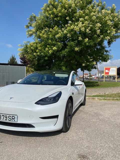 tesla-model-3-standard-range-plus-2021-eletrico