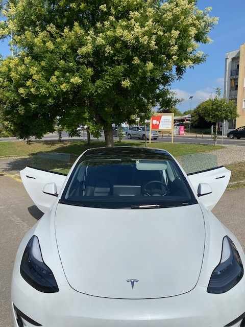 tesla-model-3-standard-range-plus-2021-eletrico
