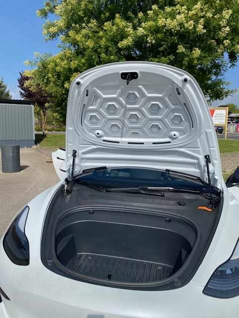 tesla-model-3-standard-range-plus-2021-eletrico