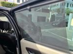 renault-grand-scenic-2010-diesel-1461cc