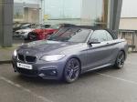 bmw-serie-2-220d-cabrio-2015-diesel-1995cc