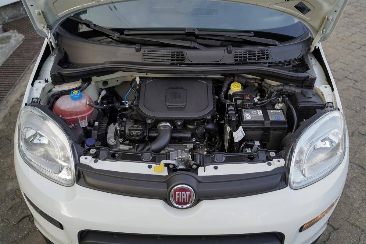 fiat-panda-2022-gasolina-999cc
