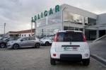 fiat-panda-2022-gasolina-999cc