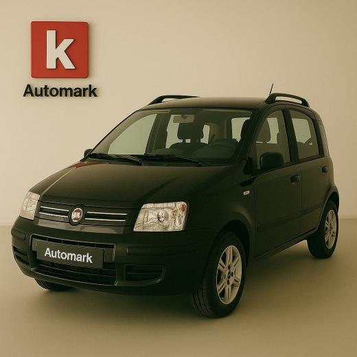 fiat-panda-2010-diesel-1248cc