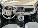 fiat-panda-1-0-2022-gasolina-999cc