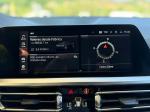 bmw-serie-3-2019-diesel-1995cc