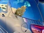 ds-ds-3-2017-gasolina-1598cc