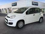 fiat-panda-2026-hibrido-a-gasolina-999cc