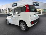 fiat-panda-2026-hibrido-a-gasolina-999cc