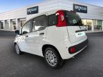 fiat-panda-2026-hibrido-a-gasolina-999cc