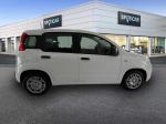 fiat-panda-2026-hibrido-a-gasolina-999cc