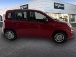fiat-panda-2026-hibrido-a-gasolina-999cc