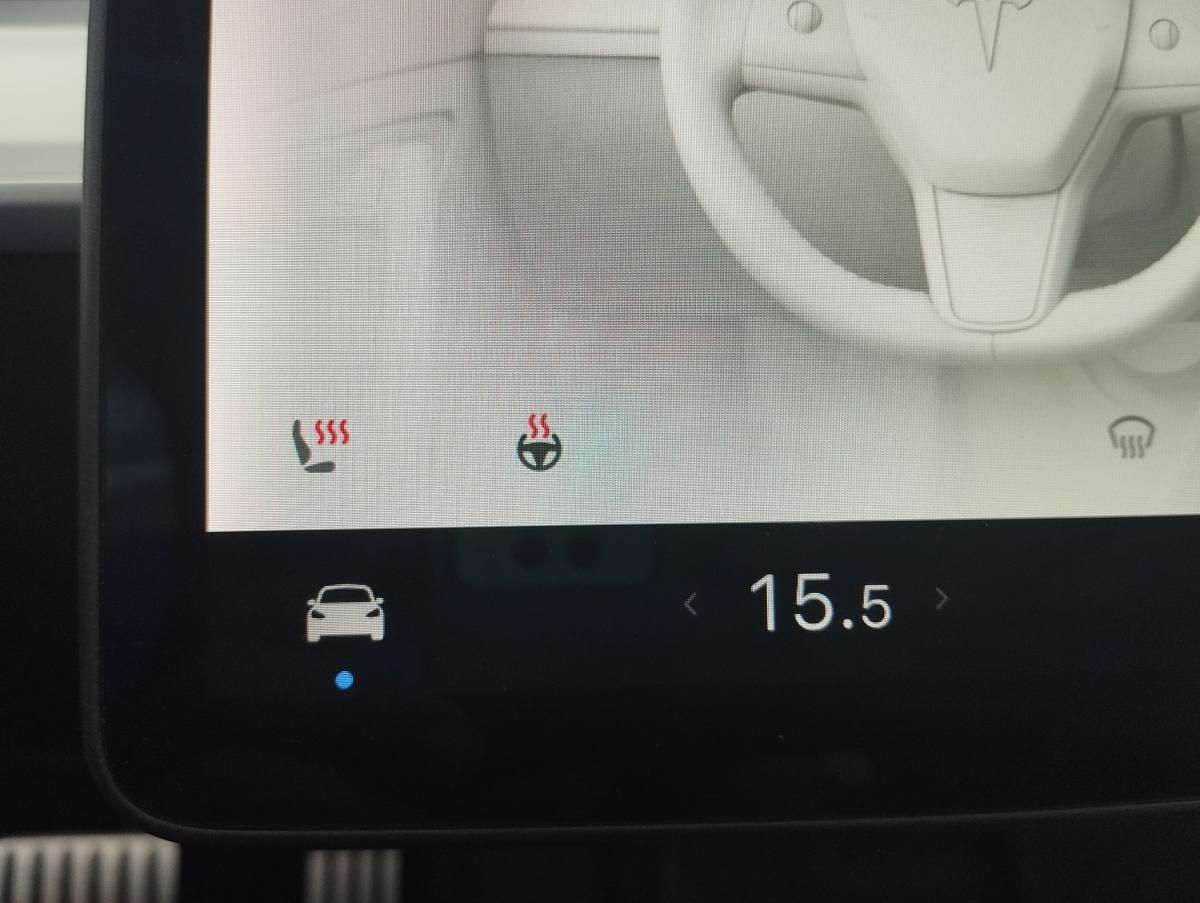 tesla-model-3-2021-eletrico-0cc
