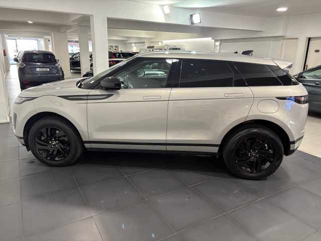 land-rover-range-rover-2024-hibrido-a-gasolina-1500cc