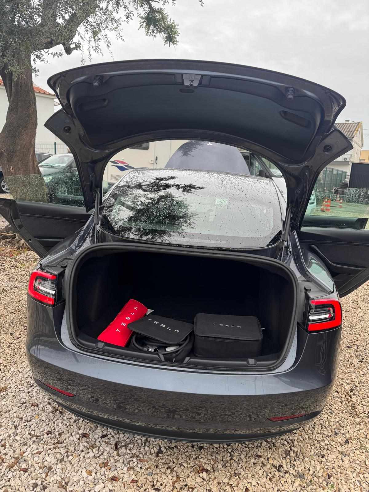 tesla-model-3-standard-range-plus-2020-eletrico