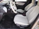 ds-ds-3-crossback-2020-eletrico-0cc