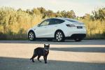 tesla-model-y-standard-range-rwd-2023-eletrico