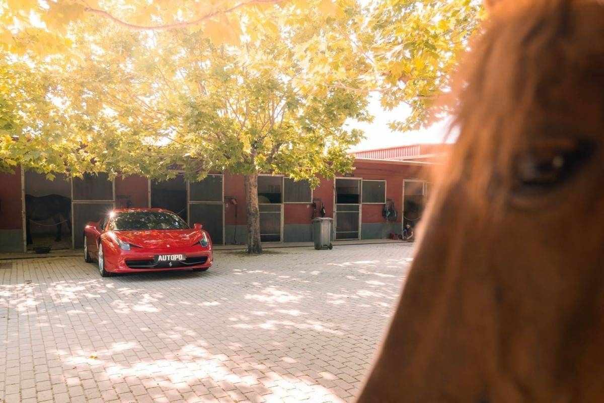 ferrari-458-2010-gasolina-4500cc