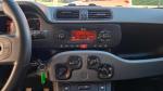 fiat-panda-1-0-gse-mild-hybrid-2022-gasolina-999cc