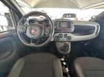 fiat-panda-2021-hibrido-a-gasolina-999cc