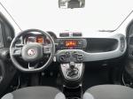 fiat-panda-2019-gasolina-875cc