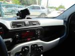 fiat-panda-1-0-gse-mild-hybrid-2022-gasolina-999cc