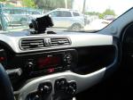 fiat-panda-2022-hibrido-999cc