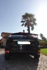 ford-focus-1-6-tdci-2008-diesel-1560cc
