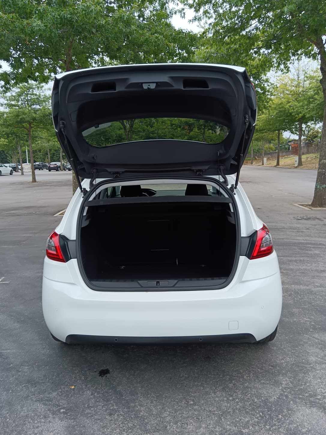 peugeot-308-1-2-e-thp-2020-gasolina-1199cc