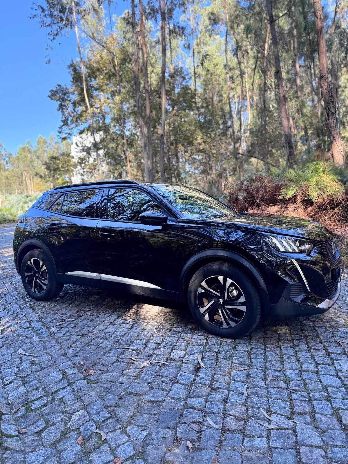 peugeot-2008-2023-eletrico-267cc