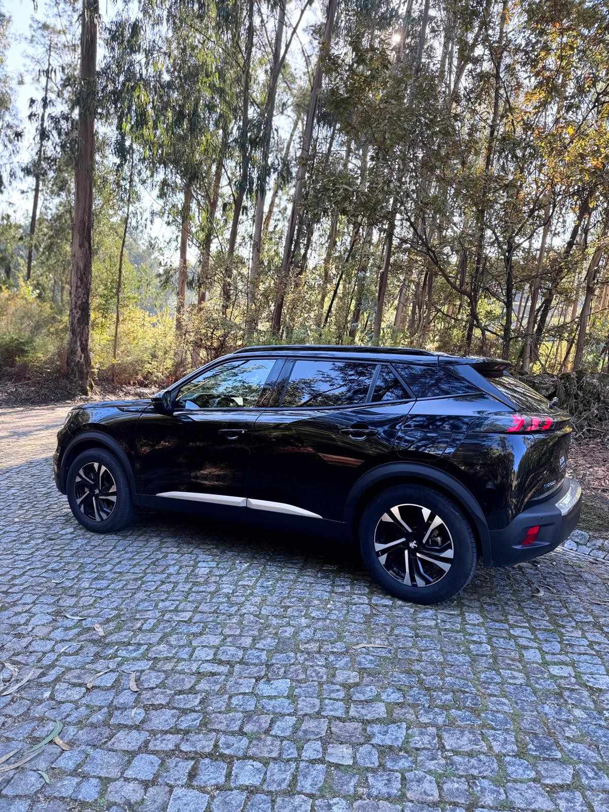 peugeot-2008-2023-eletrico-267cc