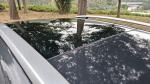 peugeot-207-sw-2008-diesel-1560cc