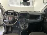 fiat-panda-2024-gasolina-999cc