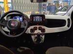 fiat-panda-2025-gasolina-999cc