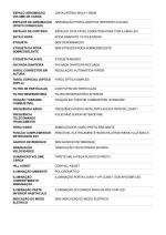 peugeot-408-2024-gasolina-1199cc