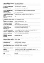 peugeot-408-2024-gasolina-1199cc