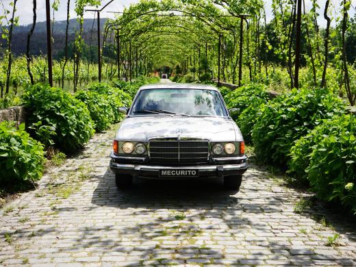 mercedes-benz-300-se-1980-diesel-2998cc