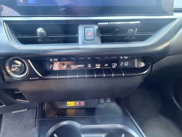 lexus-ux-250h-hybrid-e-four-2023-gasolina-1987cc