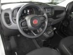fiat-panda-1-0-gse-mild-hybrid-2025-gasolina-999cc