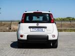 fiat-panda-2022-gasolina-999cc