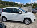 fiat-panda-2021-gasolina-1242cc